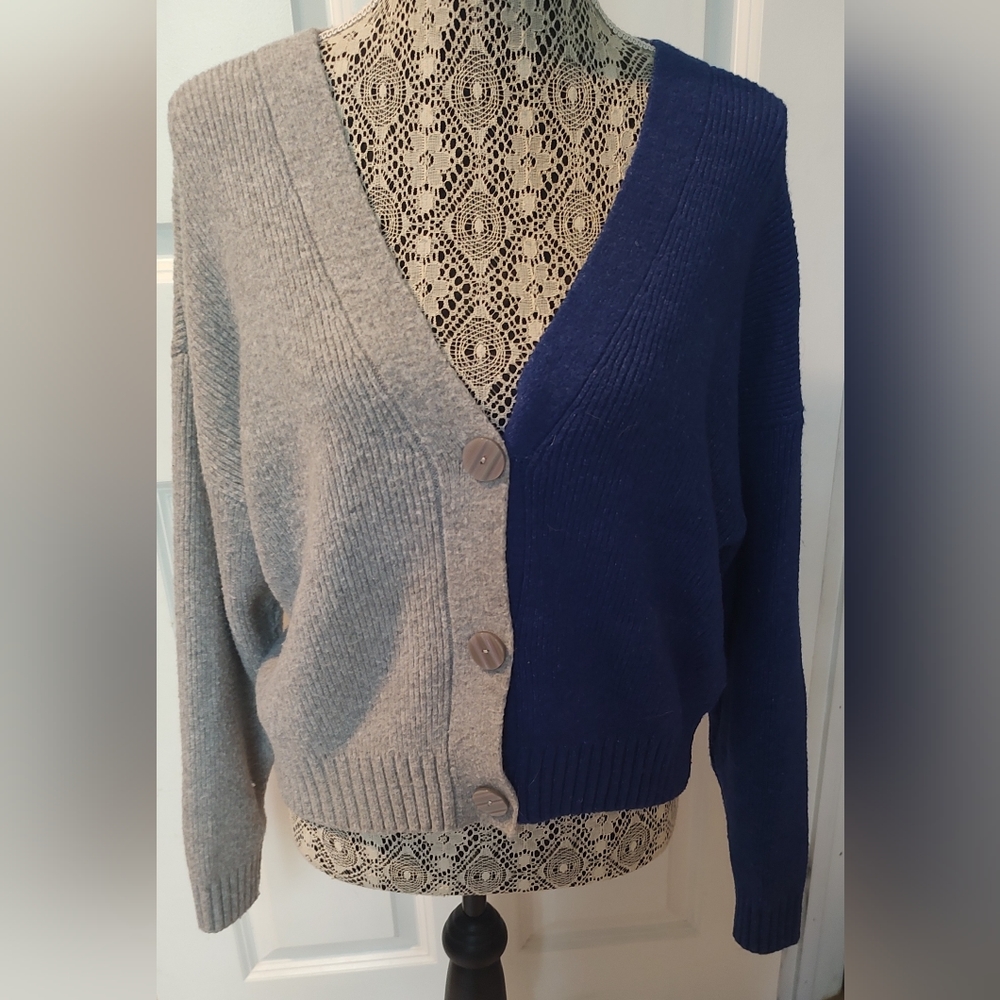 Cozy Poshmark Sweater, blue and grey with big buttons